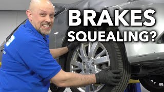 Squealing Brakes Whats That Noise in Your Car Truck or SUV [upl. by Brew]