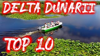 TOP 10 Delta Dunarii  Ghid Excursii Delta Dunarii [upl. by Norreg]