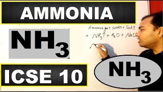 Ammonia  Ammonia ICSE 10 CHEMISTRY  Preparation and Properties of Ammonia  10 ICSE [upl. by Pansir544]