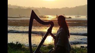 Inisheer  Irish ballad  Celtic harp amp low whistle [upl. by Florida]