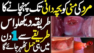 1 Din Mein Hamal Tehrane Ka Tarika In Urdu  How To Send Semon In Uterus  Online Islamic Tutor [upl. by Suzanne]