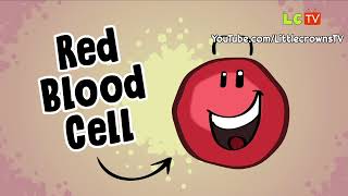 Sickle Cell Anemia Test Procedure [upl. by Rovelli]