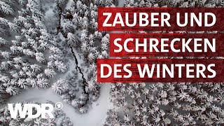 Wenn der Winter kommt  Heimatflimmern  WDR [upl. by Viddah]