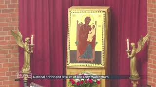 Holy Mass Live from Walsingham  31st August 2024 [upl. by Simah]