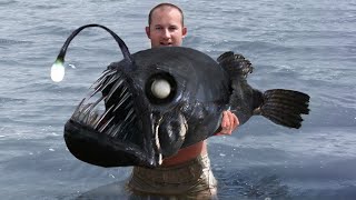 10 Strangest Creatures Ever Discovered [upl. by Cloris]