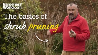 The basics of shrub pruning [upl. by Iadrahc]