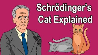 SCHRÖDINGERS CAT EXPLAINED [upl. by Eifos]