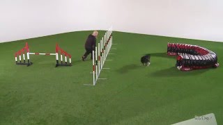 OneMind Dogs agility handling technique  Tandem Turn [upl. by Canica]