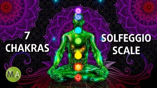 7 Chakras Meditation with Isochronic Tones  Full Solfeggio Scale [upl. by Chaker205]