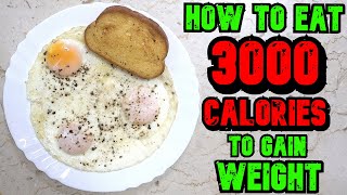 How To Eat 3000 Calories A Day To Gain Weight [upl. by Adnirem]