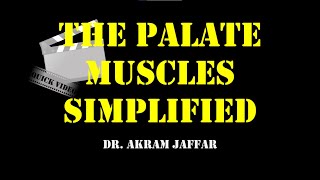 Palatine muscles simplified diagram [upl. by Tiler]