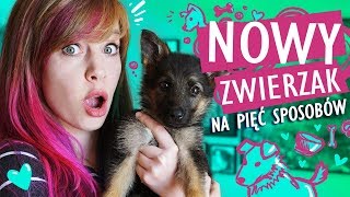 Rysuję SZCZENIAKA na 5 sposobów 🐶 Mam nowego psa [upl. by Corissa]