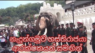 Nadungamuve Raja  Kandy [upl. by Daahsar198]