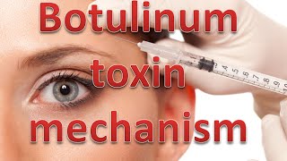 Botulinum toxin mechanism [upl. by Erb704]