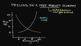 Pricing in a FreeMarket Economy [upl. by Notreve]