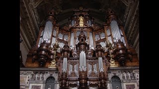 Reger  Ein feste Burg Berlin Cathedral Sauer Organ 1905 [upl. by Noonan]