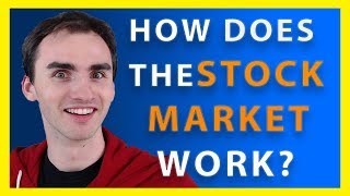 How Does The Stock Market Work  Stock Market Basics [upl. by Yajeet251]