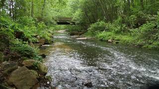 10 hours Babbling Brook Sounds Of Nature no ads ASMR forest water flowing [upl. by Monteith]