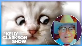 Texas Lawyer Explains Viral Cat Face Filter Zoom Mishap [upl. by Joy]