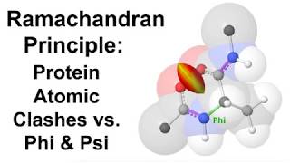 Ramachandran Principle Protein Atomic Clashes vs Phi amp Psi [upl. by Enidaj]