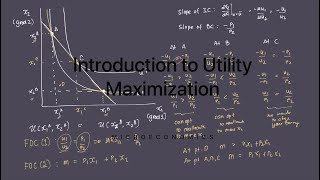 Introduction to the Utility Maximization Process [upl. by Ahsimaj392]