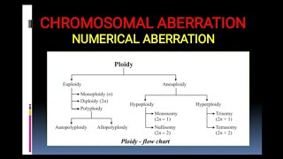 Chromosomal Aberration Numerical aberration including polyploidy [upl. by Rambert]