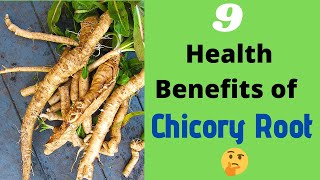 The 9 Health Benefits of Chicory Root 🌱 [upl. by Aisinut965]