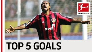 Zé Roberto  Top 5 Goals [upl. by Jarus]