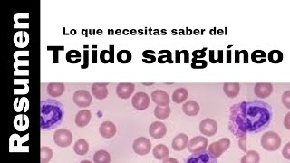 Tejido Sanguíneo resumen Histología De Ross 7a Edición [upl. by Odrarej974]