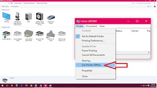 How to Fix Printer Offline Issues In Windows PC Windows 1110817 [upl. by Siahc]