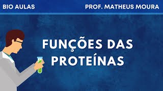 Funções das Proteínas  Bioquímica Bio Aulas [upl. by Sussi]