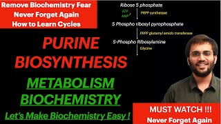 Purine Synthesis  Biochemistry  Purine Metabolism Video [upl. by Theola]