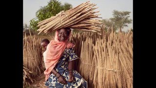 Portraits of African Women [upl. by Saturday]