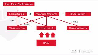 Hypertension Guidelines Explained Clearly  2017 HTN Guidelines [upl. by Halfon]