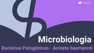 Microbiologia Bactérias Patogênicas  Acineto baumannii [upl. by Otreblon377]