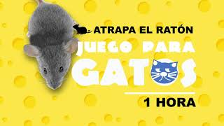 Video de ratones para gatos 1 hora🐱🐭 [upl. by Inalial]