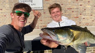 ZO VANG JE SNOEKBAARS MET DOOD AAS🐟👌 VLOG 98 [upl. by Warram]