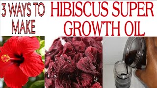 3 WAYS TO MAKE HIBISCUS SUPER HAIR GROWTH OIL [upl. by Redmund]