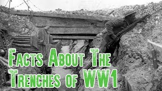 Trench Warfare Facts  The Trenches of WW1 [upl. by Westfahl]