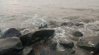 Tithal Beach Gujarat [upl. by Auqined584]