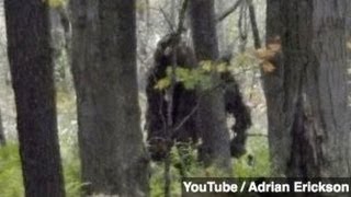 New Footage DNA Prove Bigfoot Exists Group Says [upl. by Refinaj]