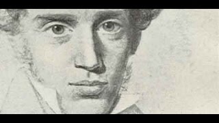 Kierkegaard in 19 Minutes [upl. by Leumhs]