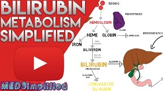 Bilirubin Metabolism Simplified [upl. by Ayvid442]