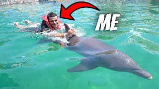 Swimming with DOLPHINS at Miami Seaquarium [upl. by Ojiram]