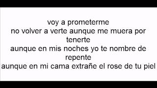 Voy a prometerme victor manuelle con letra [upl. by Grishilda584]