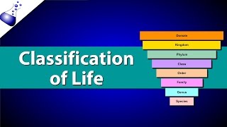 Classification of Life [upl. by Angel457]