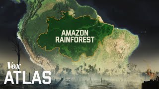 The destruction of the Amazon explained [upl. by Nagram731]