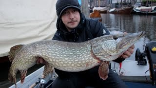 Vissen met dood aas op snoek in de haven deel 1 [upl. by Gudren]