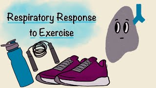 Respiratory Response To Exercise  Respiratory Physiology [upl. by Merceer]