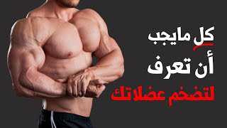 مرحلة التضخيم العضلي كيف تبني كتلة عضلية صافية بسرعة؟ [upl. by Hilde556]